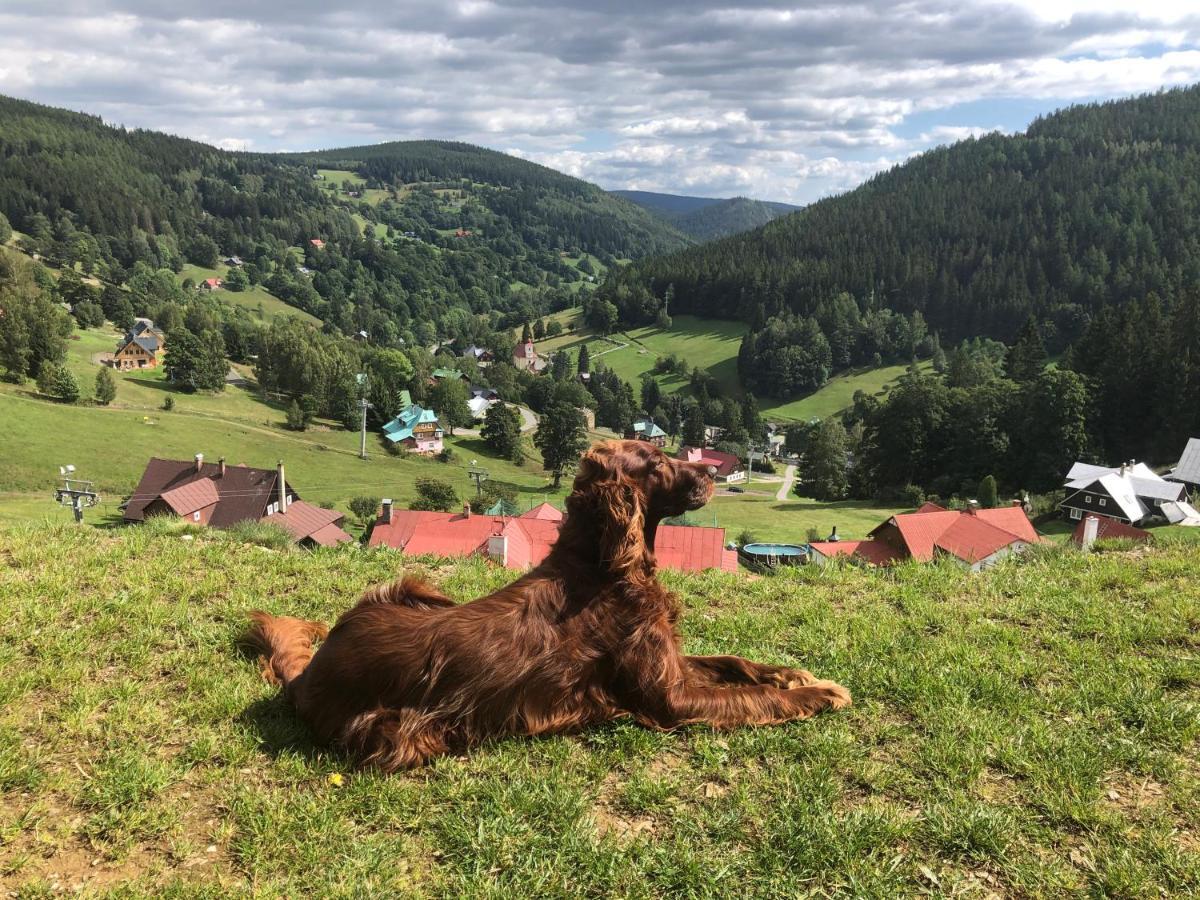 Apartmán U Setra Pec pod Snezkou Esterno foto